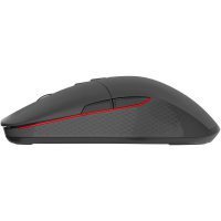 Mouse Genesis Zircon 330