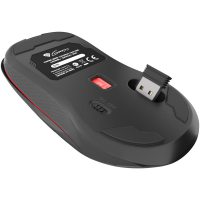 Mouse Genesis Zircon 330