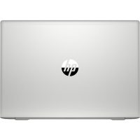 Laptop Hp ProBook 455 G7 2D242EA