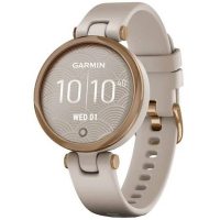 Smartwatch Garmin 010-02384-11