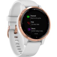 Smartwatch Garmin 010-02172-24