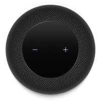 Boxe Apple APPHOMEPODSPGRY