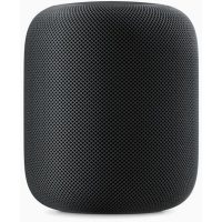 Boxe Apple APPHOMEPODSPGRY