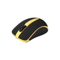 Mouse Canyon CNS-CMSW6Y