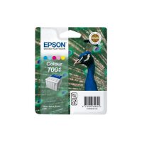 Consumabile Epson C13T00101110