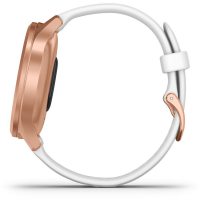 Smartwatch Garmin 010-02240-20
