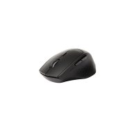 Mouse Rapoo HM180808