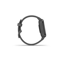 Smartwatch Garmin 010-02427-10