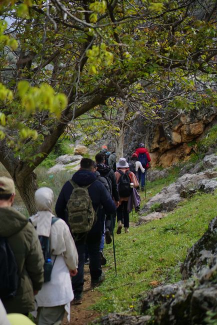 Guided Hiking Excursions
