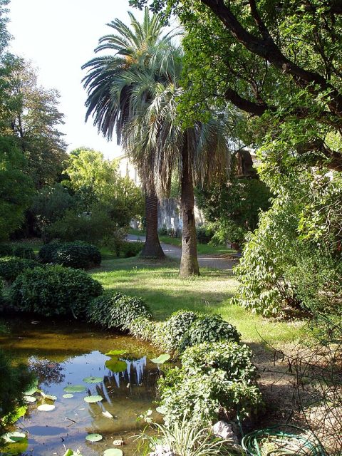Botanical Garden