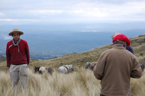 Estancia (Gaucho Ranch) Experience