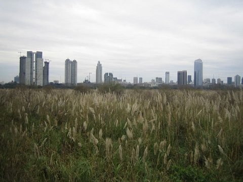 Reserva Ecológica Costanera Sur
