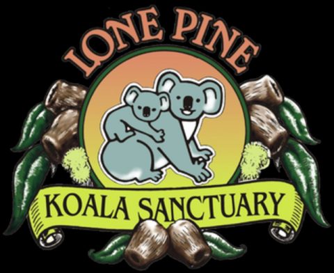 Lone Pine Koala Sanctuary