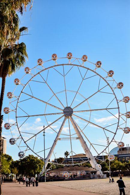 South Bank Parklands - Ferris Wheel