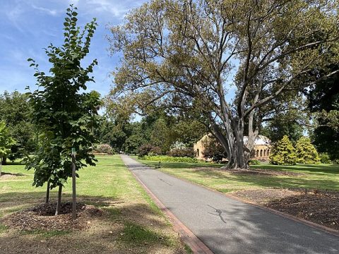 Fitzroy Gardens
