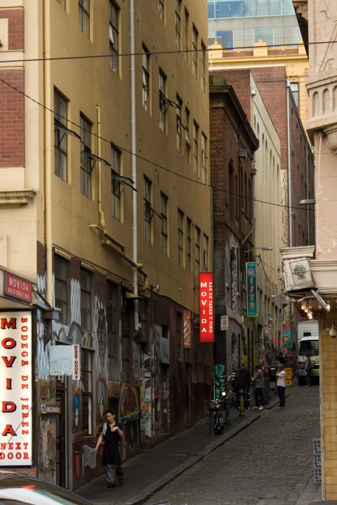 MoVida