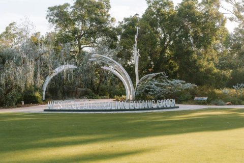 Kings Park & Botanic Gardens