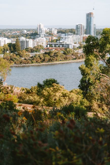 Swan River Parks & Foreshore
