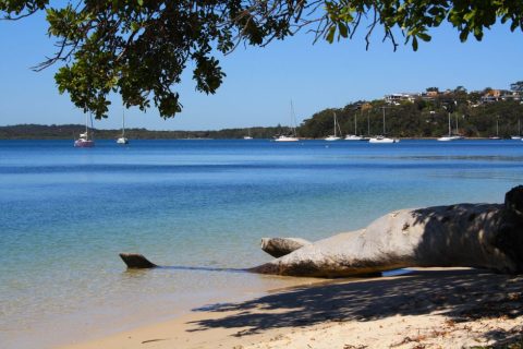 Port Stephens