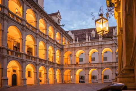 City Walking Tours