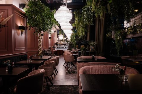 Operncafé - Cafe