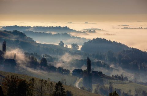 Styrian Wine Country