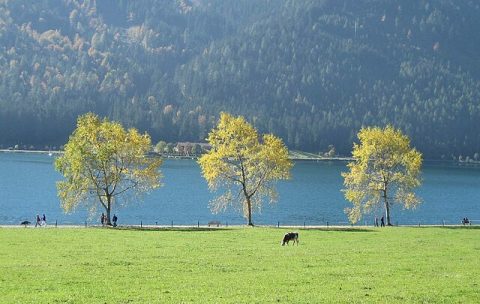Achensee (Lake Achen)