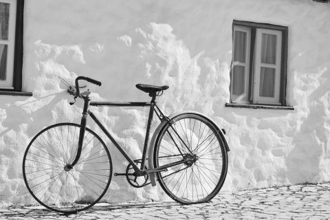 Bicycle Tours