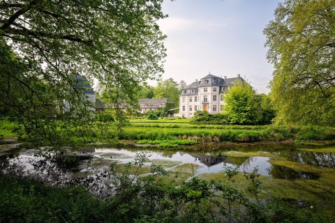 Castle Park (Schlosspark)