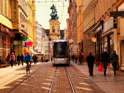 Guided City Tours