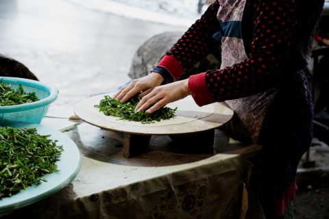 Culinary Tours & Cooking Classes