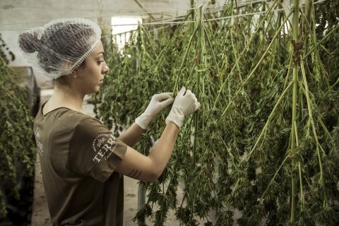 Ganja History Museum