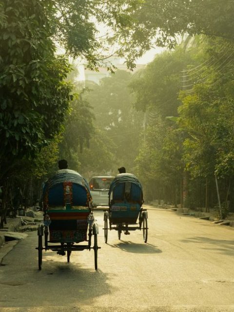 Traditional Rickshaw Tour