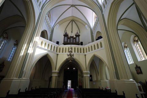 Organ Concerts at Farny Cathedral