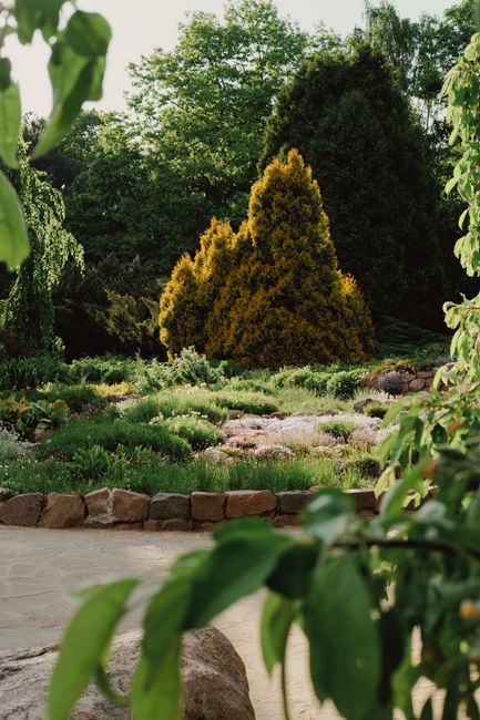 Central Botanical Garden of the National Academy of Sciences