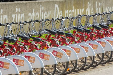 Bike Tour of Antwerp