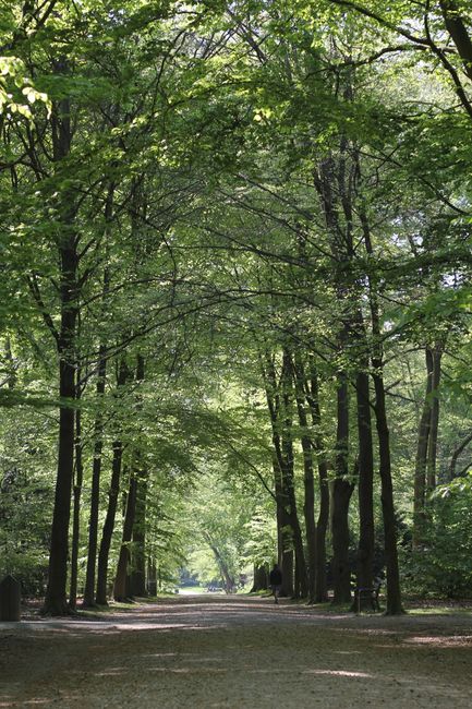 Rivierenhof Park