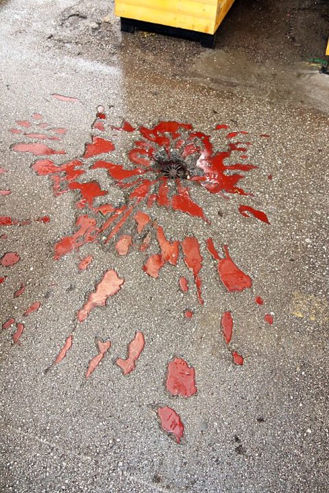 Sarajevo Roses