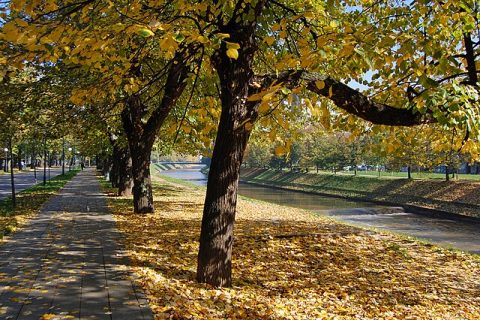 Wilson's Promenade (Vilsonovo Šetalište)