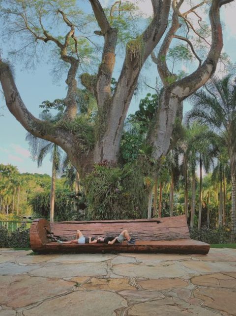 Inhotim Contemporary Art Museum