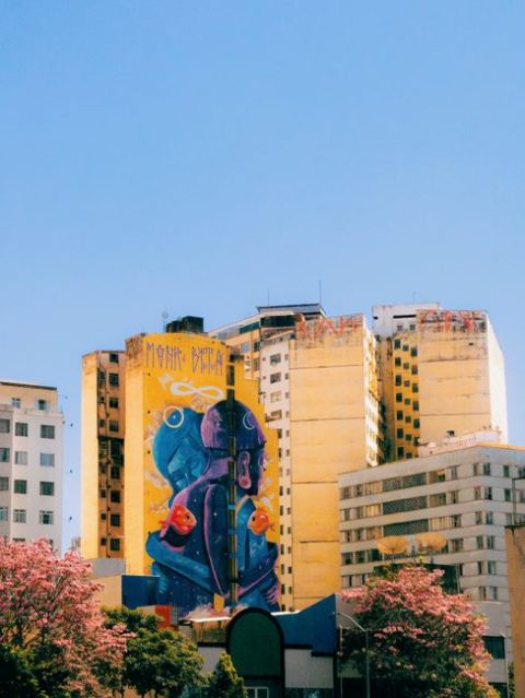 Street Art in Funcionários District