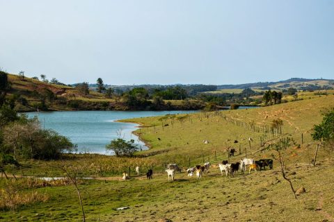 Agricultural Heritage Tours