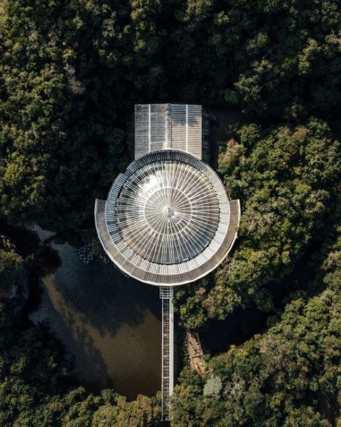 Bosque dos Jequitibás