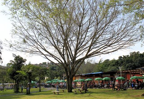 Embu das Artes