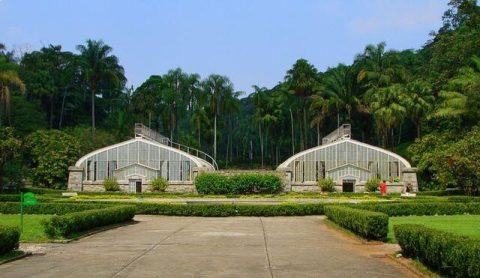 Jardim Botânico de São Paulo
