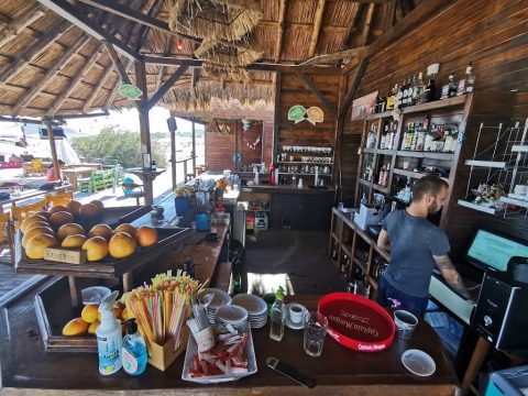 Beach Bar Algae