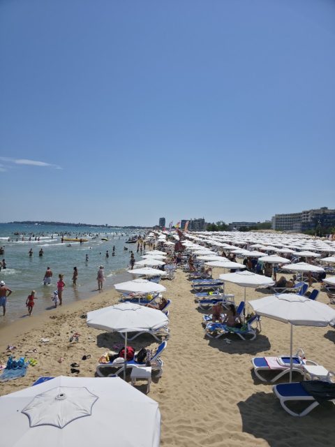 Viking Beach Bar