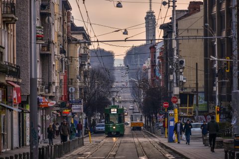 Trams and Buses
