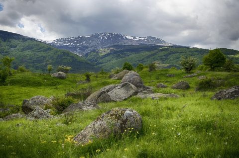 Vitosha Mountain Hiking