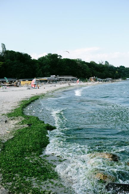 Black Sea Coast Boat Tours